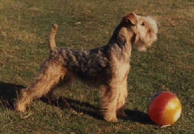 Naica