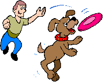 Frisbee