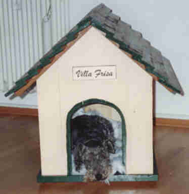 Frisas Villa