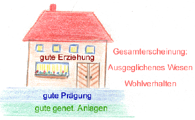 Basis gut, Aufbau gut = gut